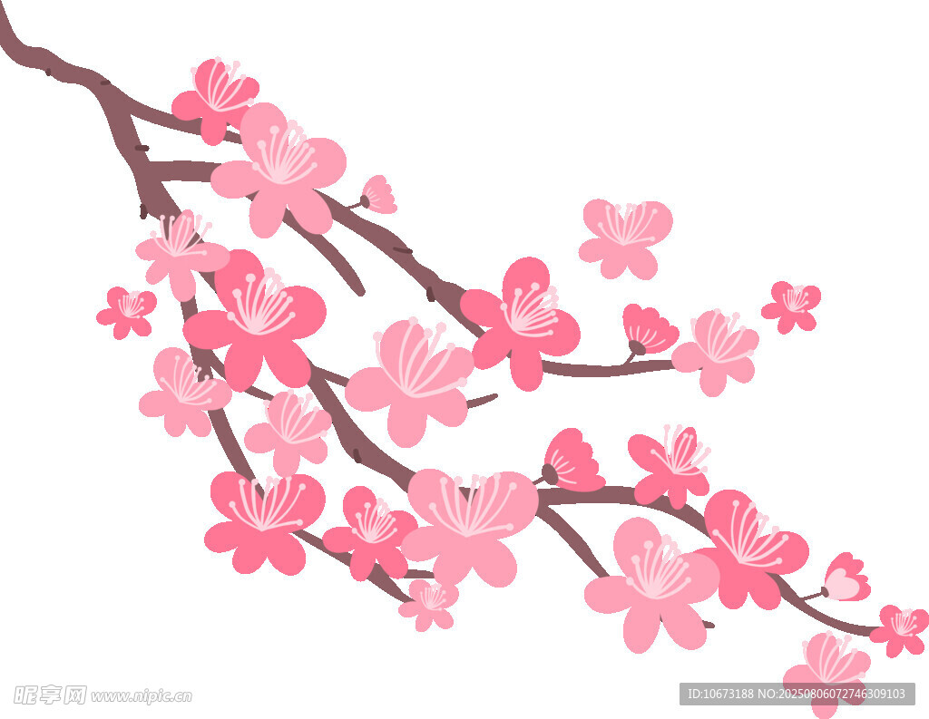 粉色樱花枝