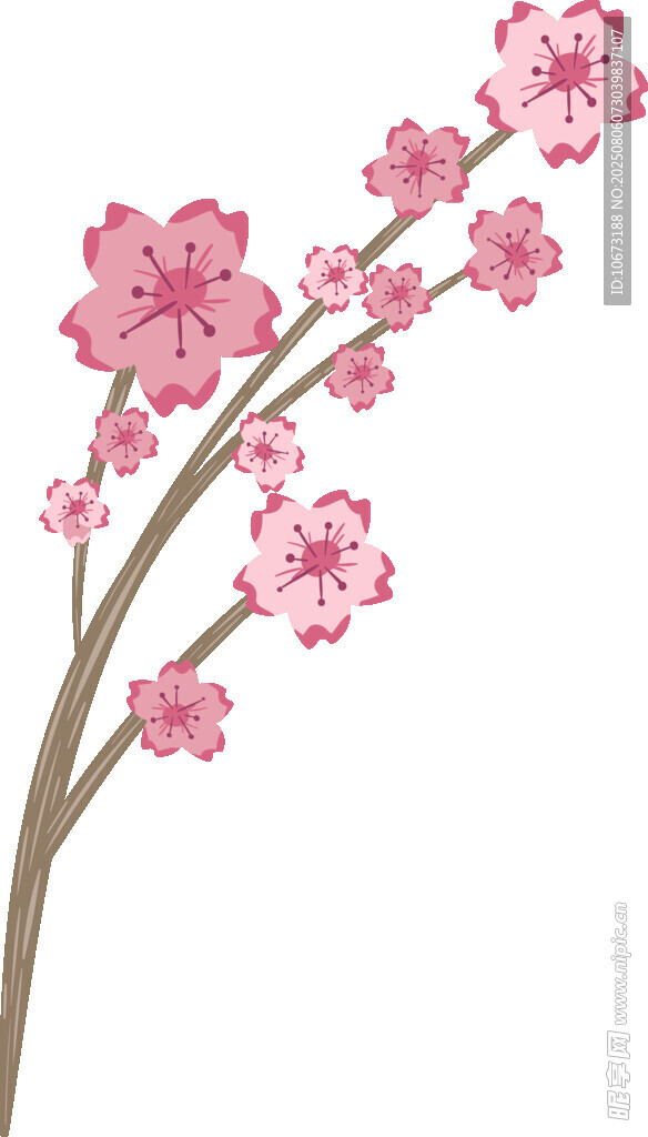 粉色绽放的美丽樱花枝