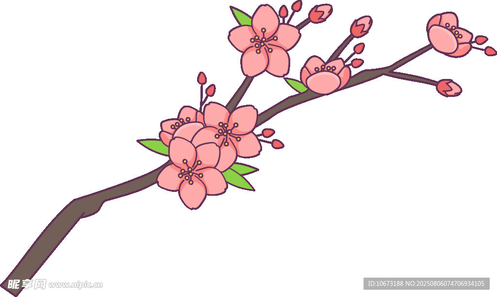 粉色桃花枝