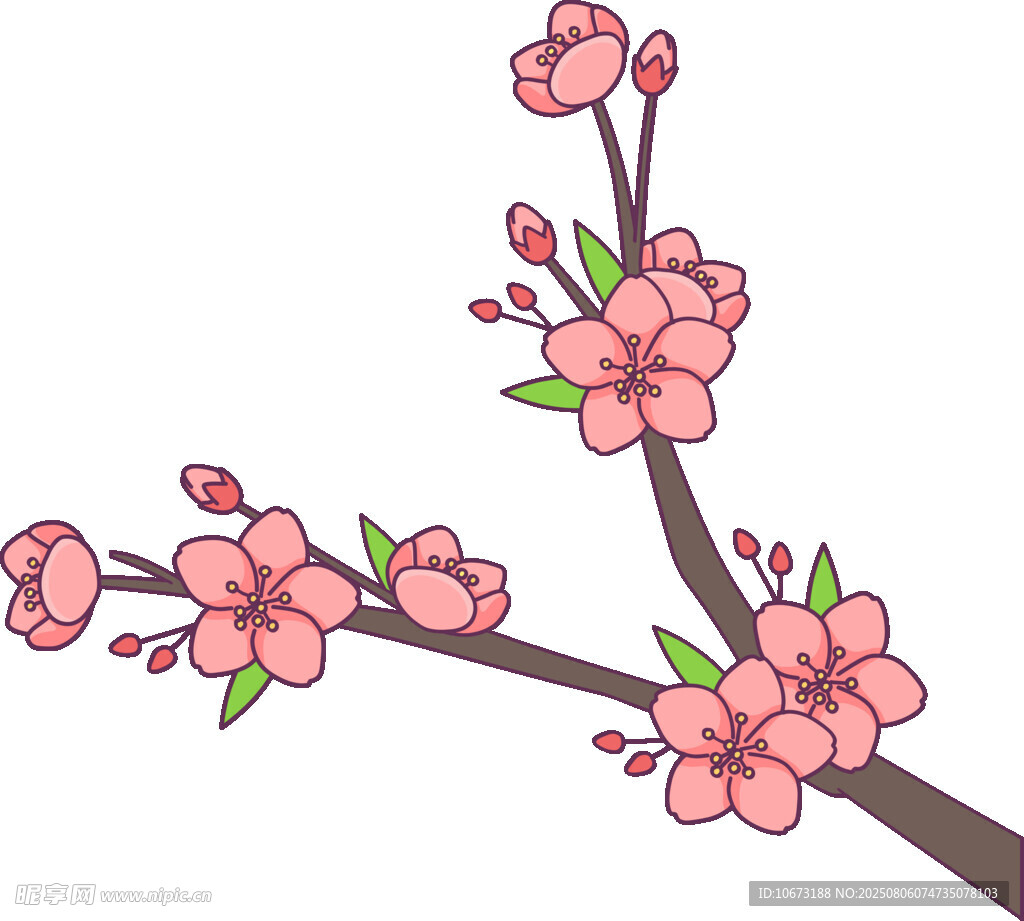 粉色绽放的美丽桃花枝