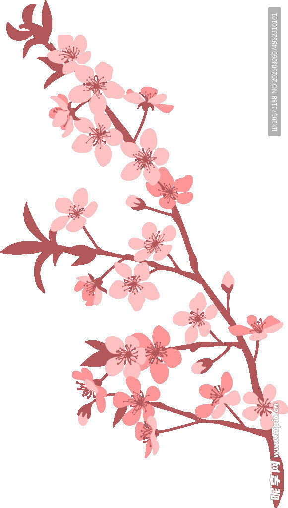 粉色桃花枝插画