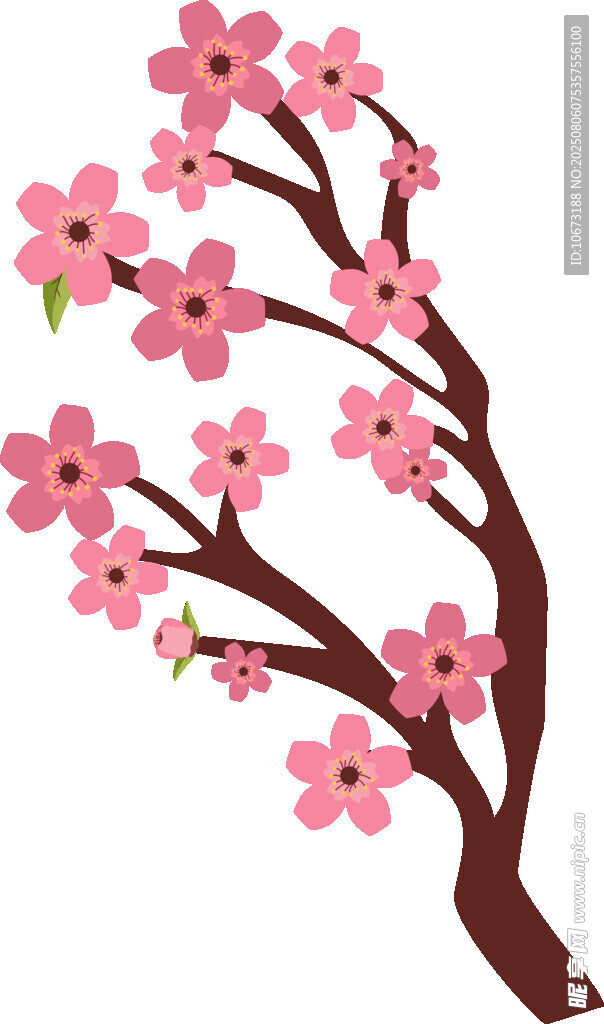 粉色樱花树枝插画