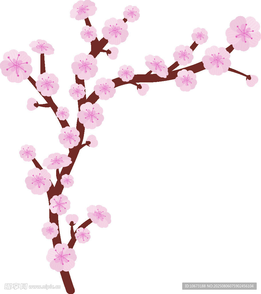 粉色绽放的美丽花枝