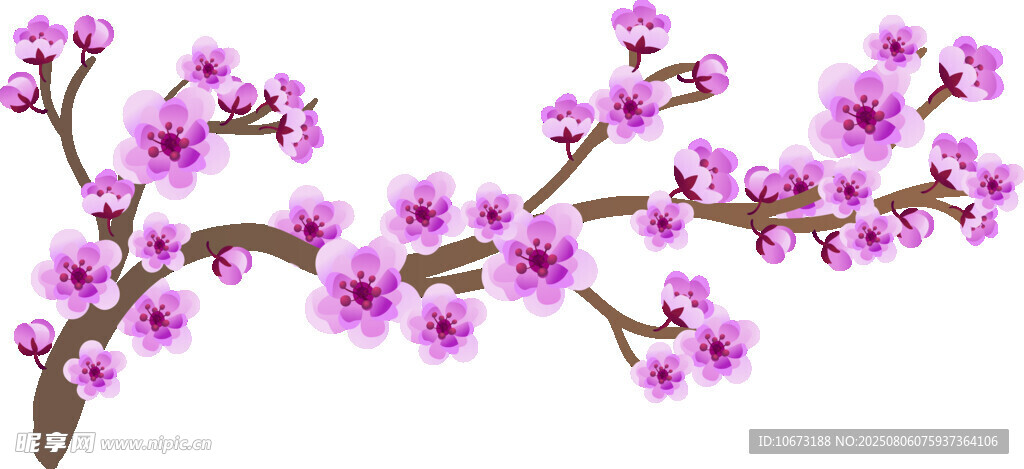 紫花绽放的美丽花枝