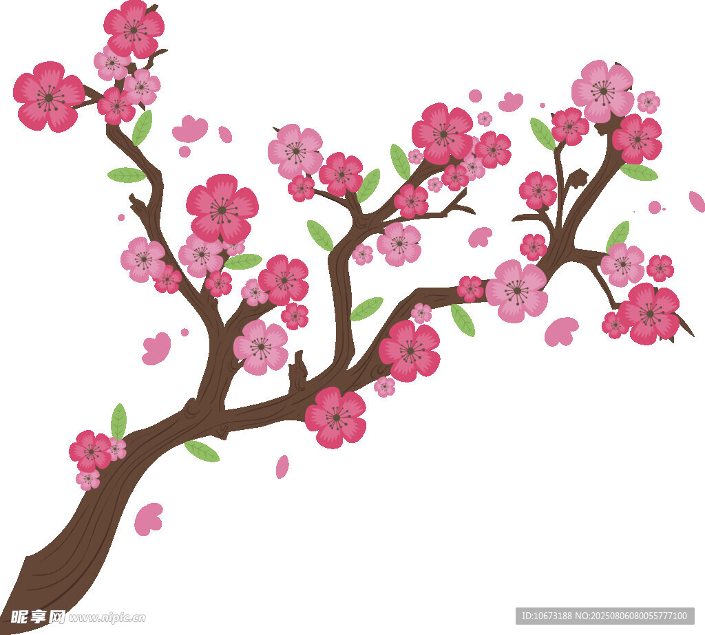 粉色烂漫桃花枝