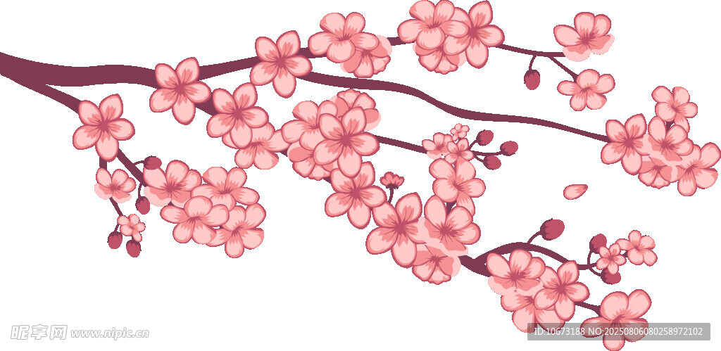 粉色樱花枝特写