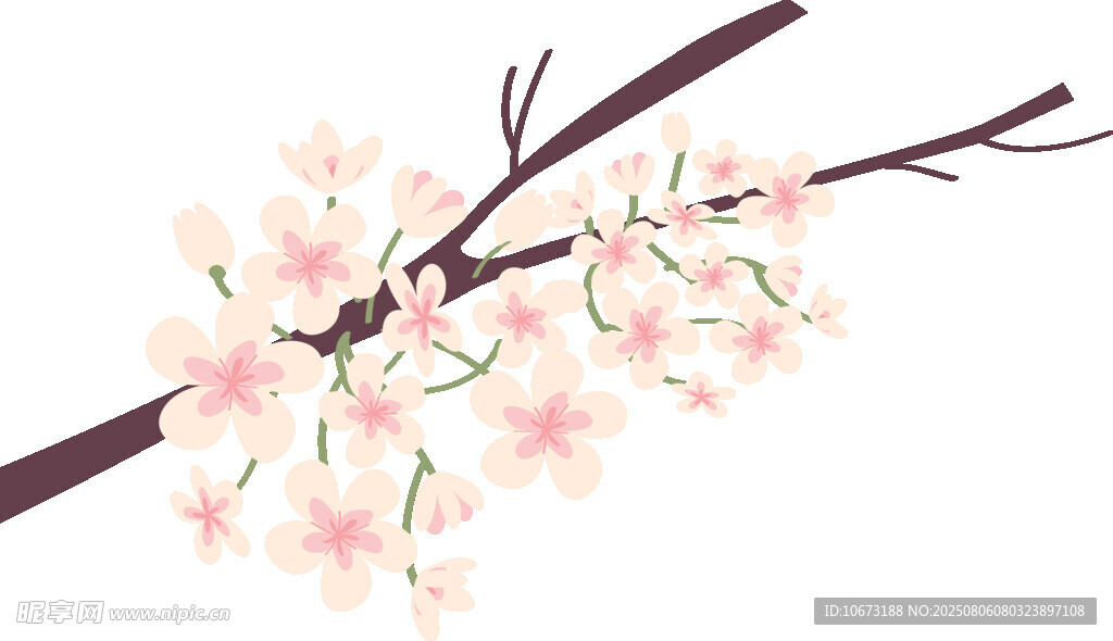 粉色樱花枝