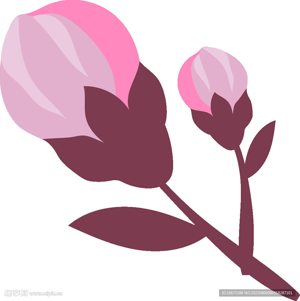 两朵粉色花卉图案
