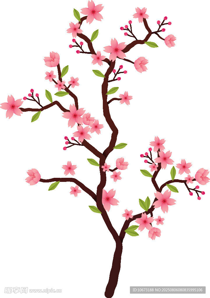 粉色桃花枝插画