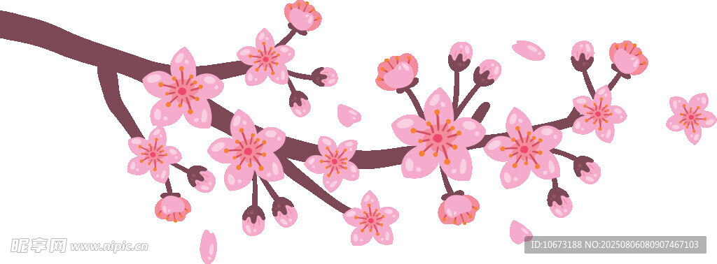 绽放的粉色樱花枝