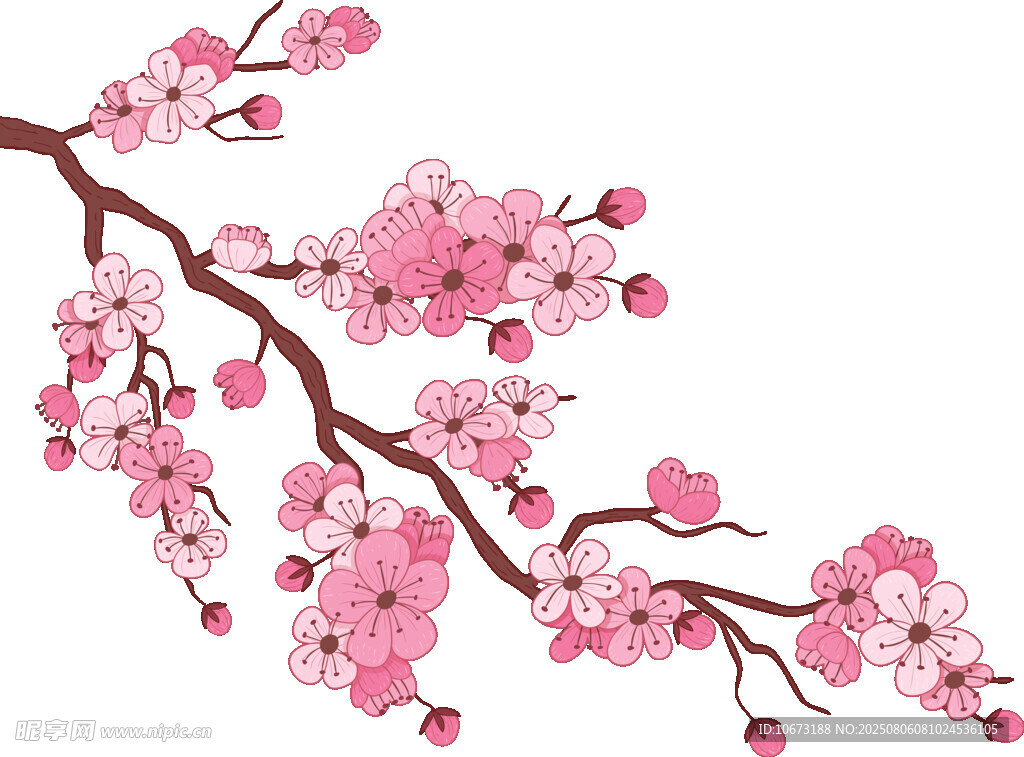 粉色烂漫樱花枝