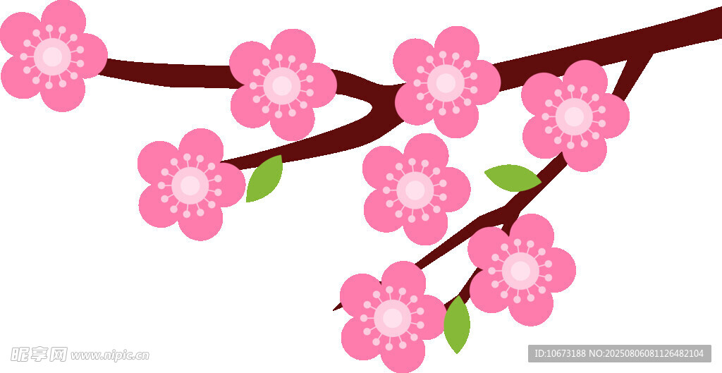 粉色樱花枝