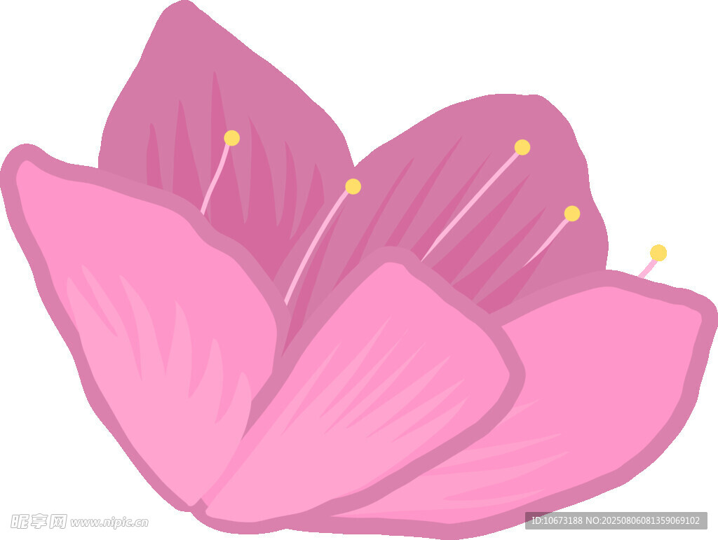 粉色花朵插画
