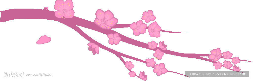 粉色樱花枝