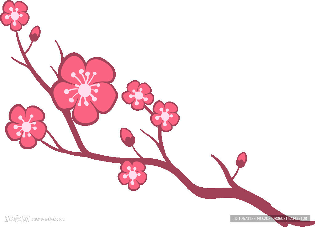 粉色梅花枝
