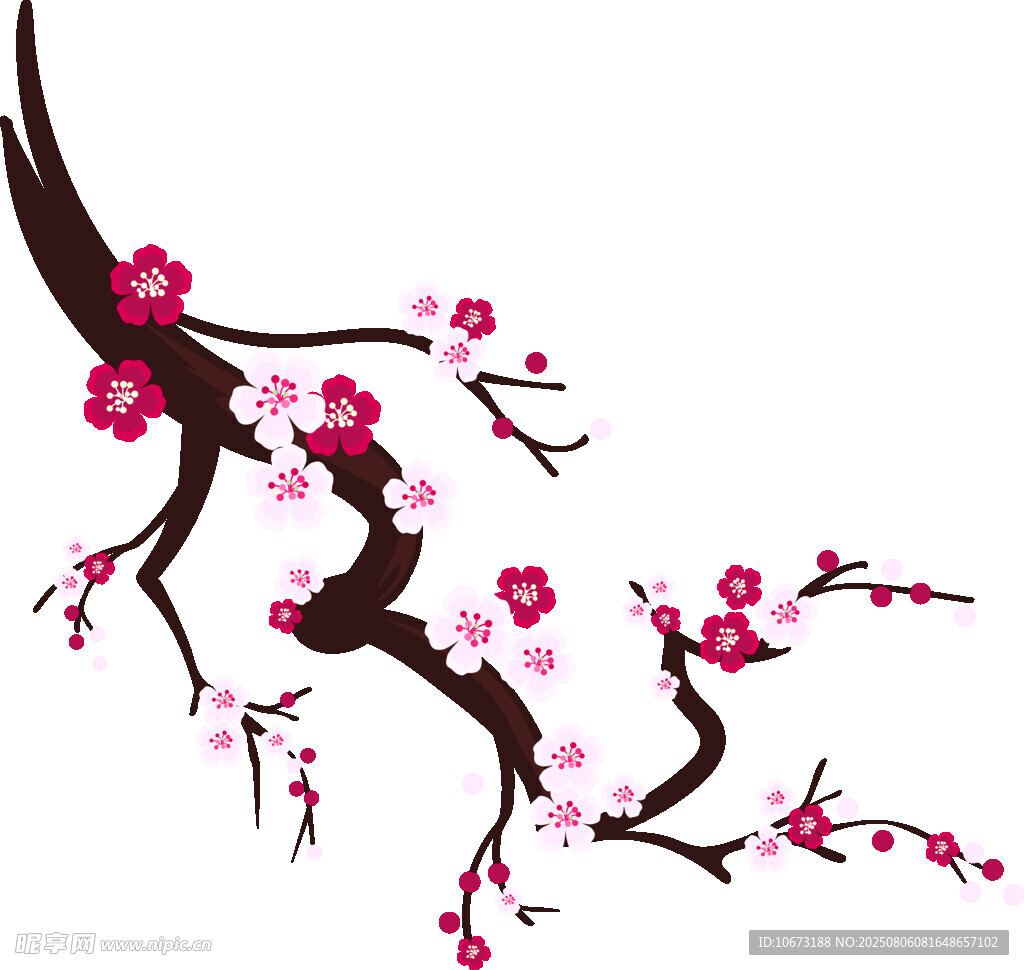 手绘粉色梅花花枝图
