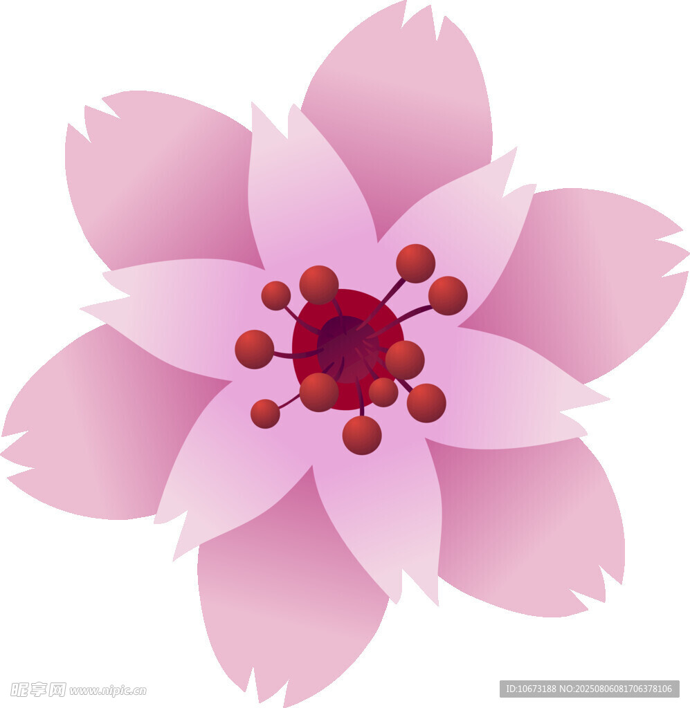 粉色花朵插画