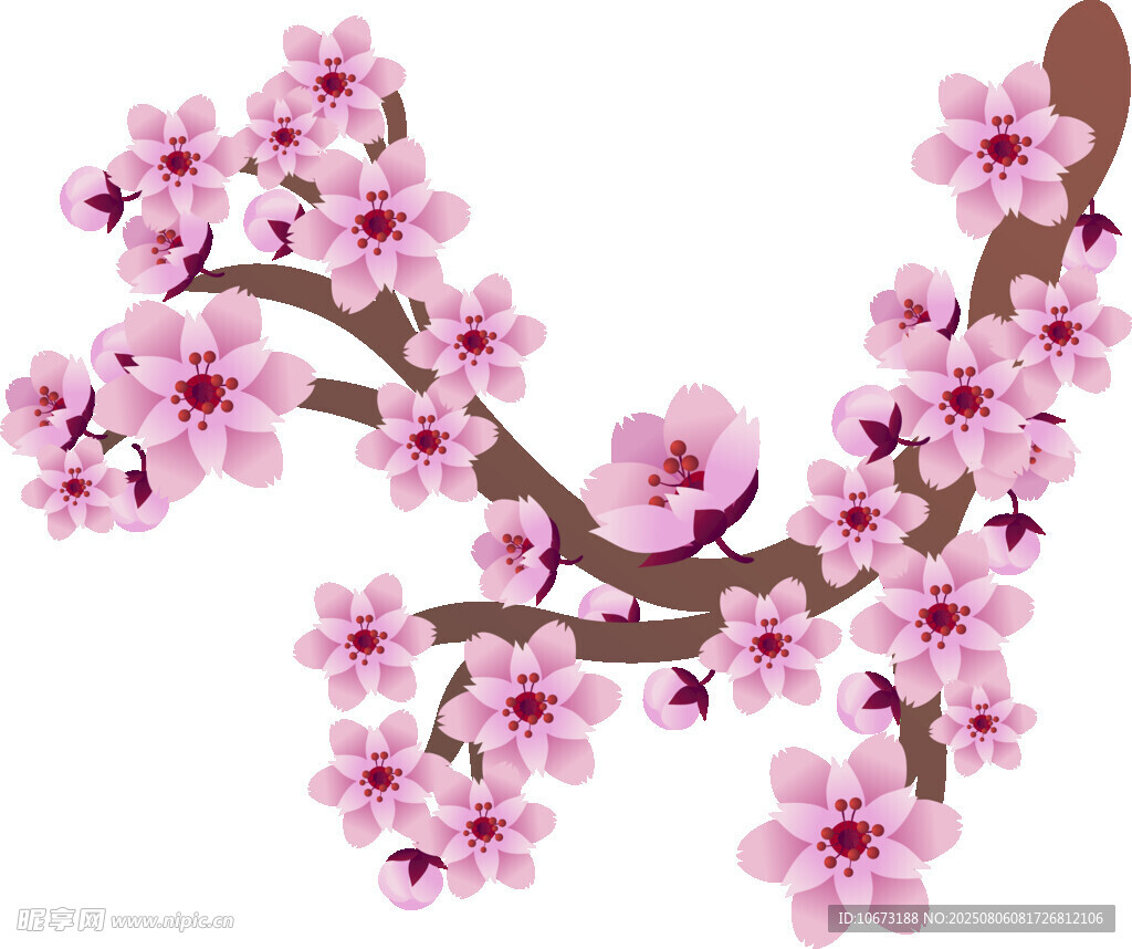 粉色桃花枝