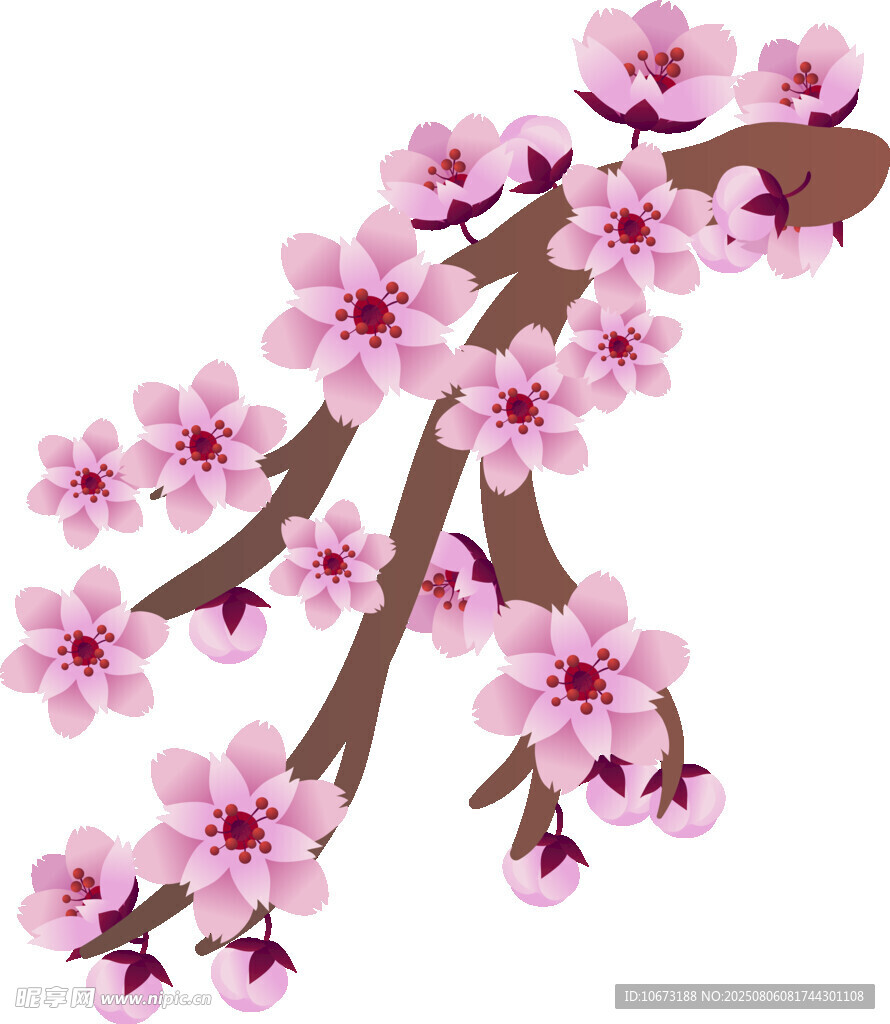 粉色绽放的美丽桃花枝