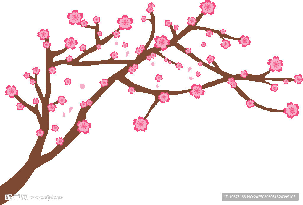 粉色梅花枝