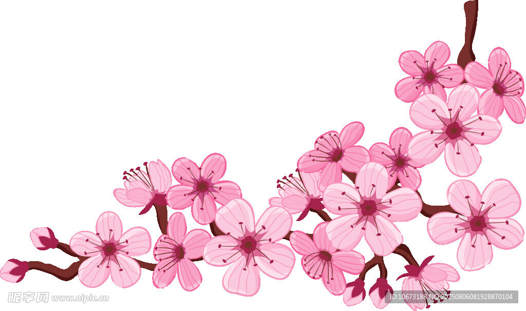 粉色樱花枝