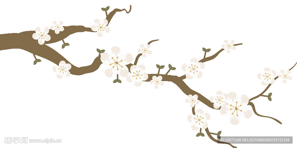 枝头绽放的洁白花朵