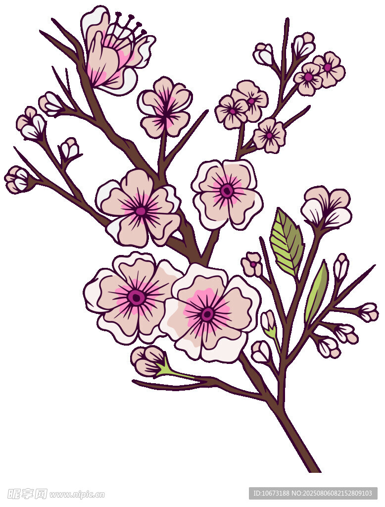 手绘粉色花枝插画