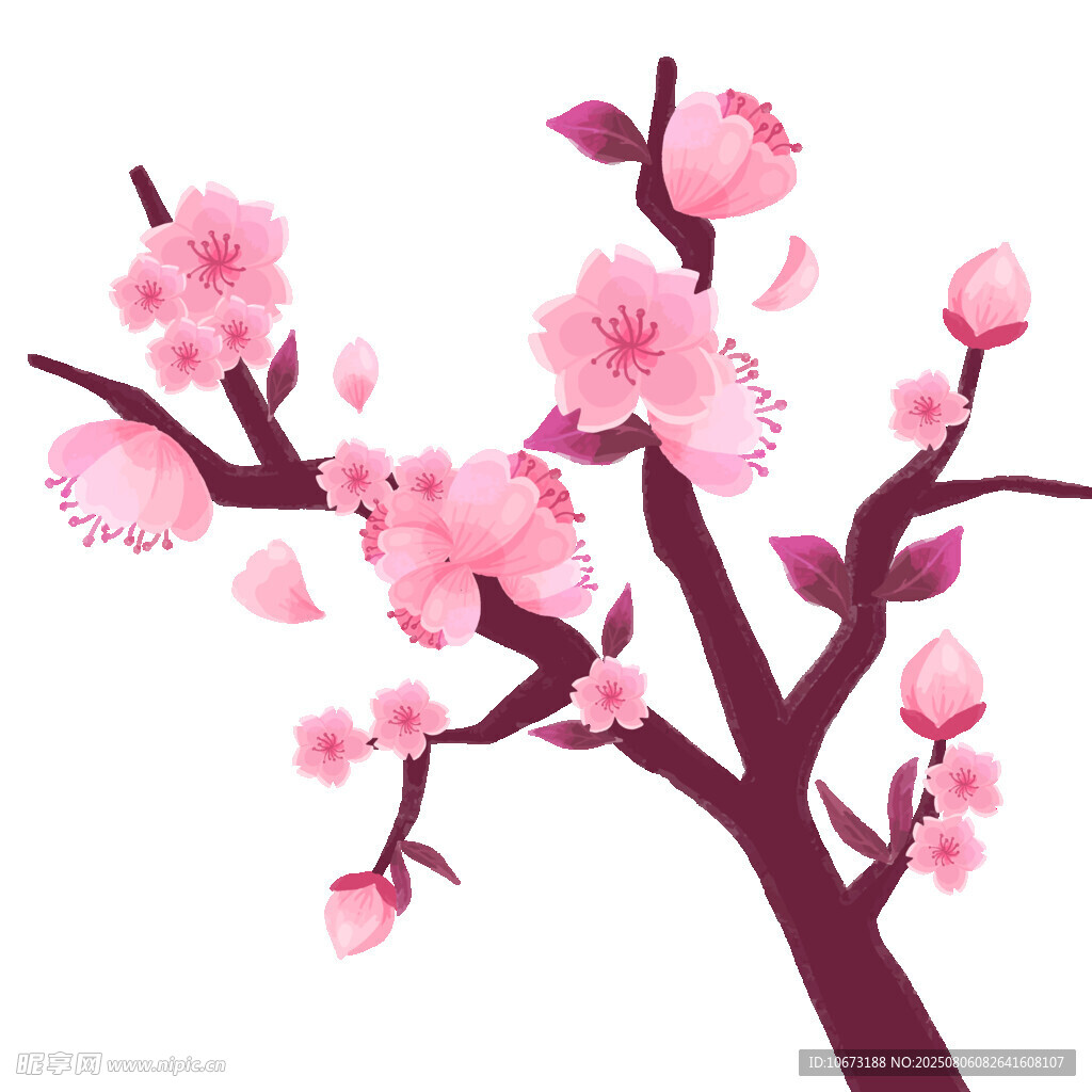 粉色桃花枝