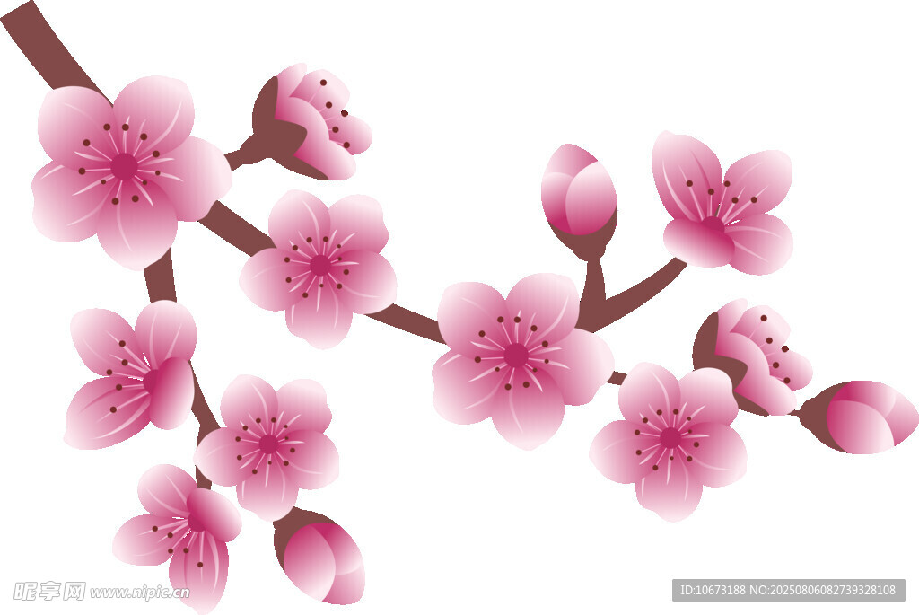 粉色绽放桃花枝
