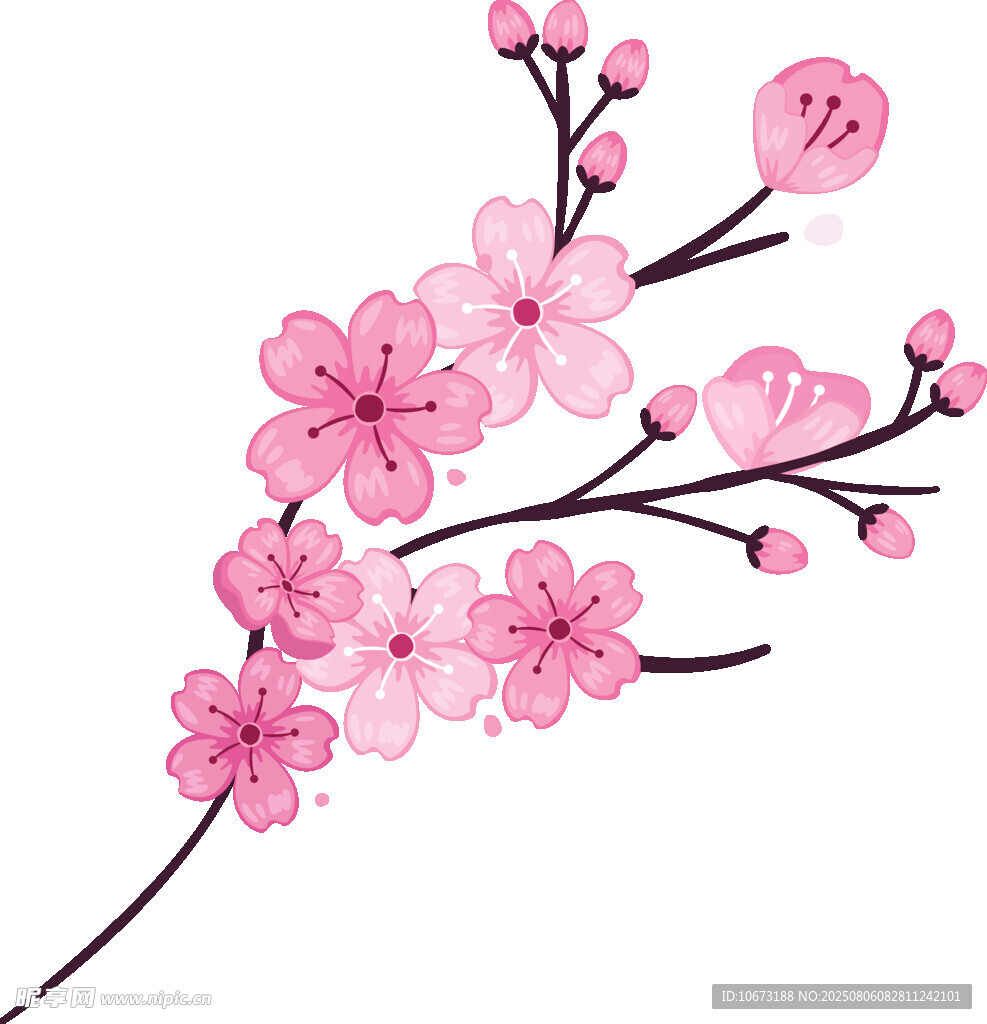 粉色桃花枝插画