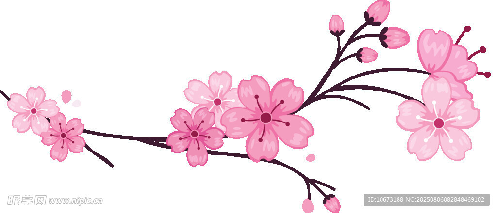 粉色绽放的美丽桃花枝