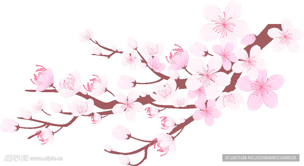 粉色绽放的美丽桃花枝