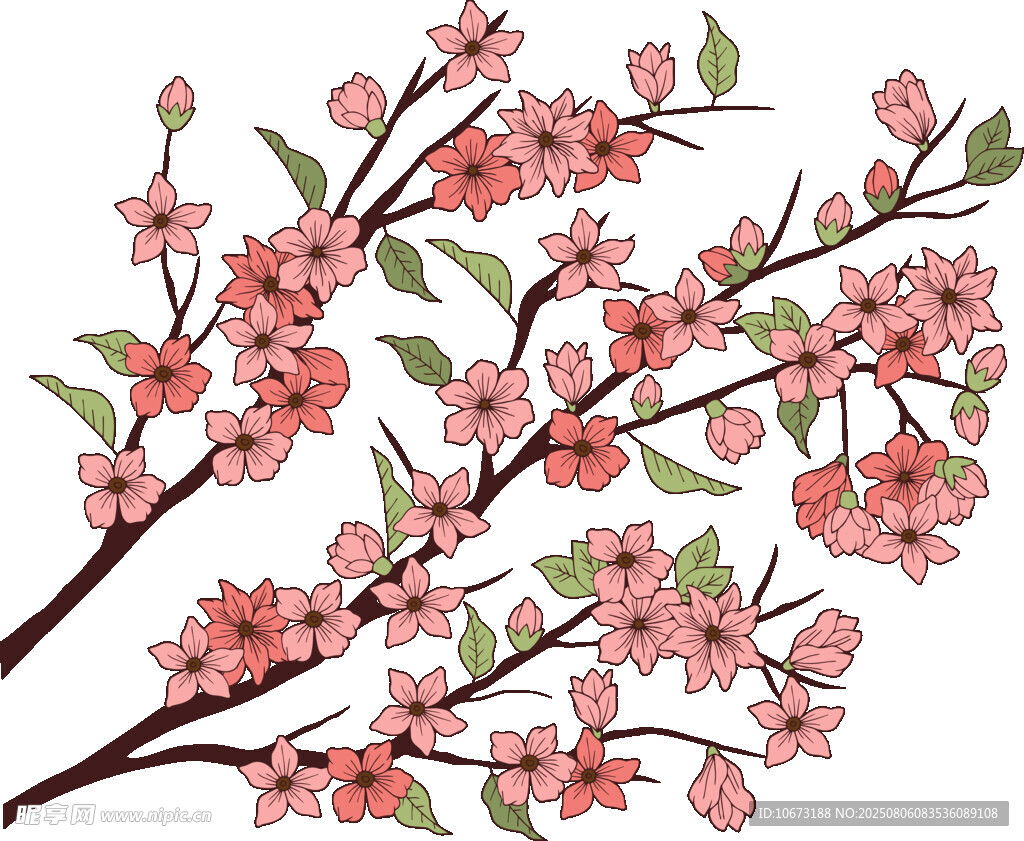 粉色绽放花枝插画