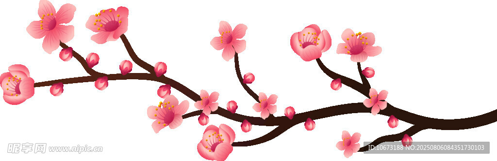 粉色梅花枝
