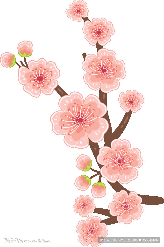 粉色桃花枝插画