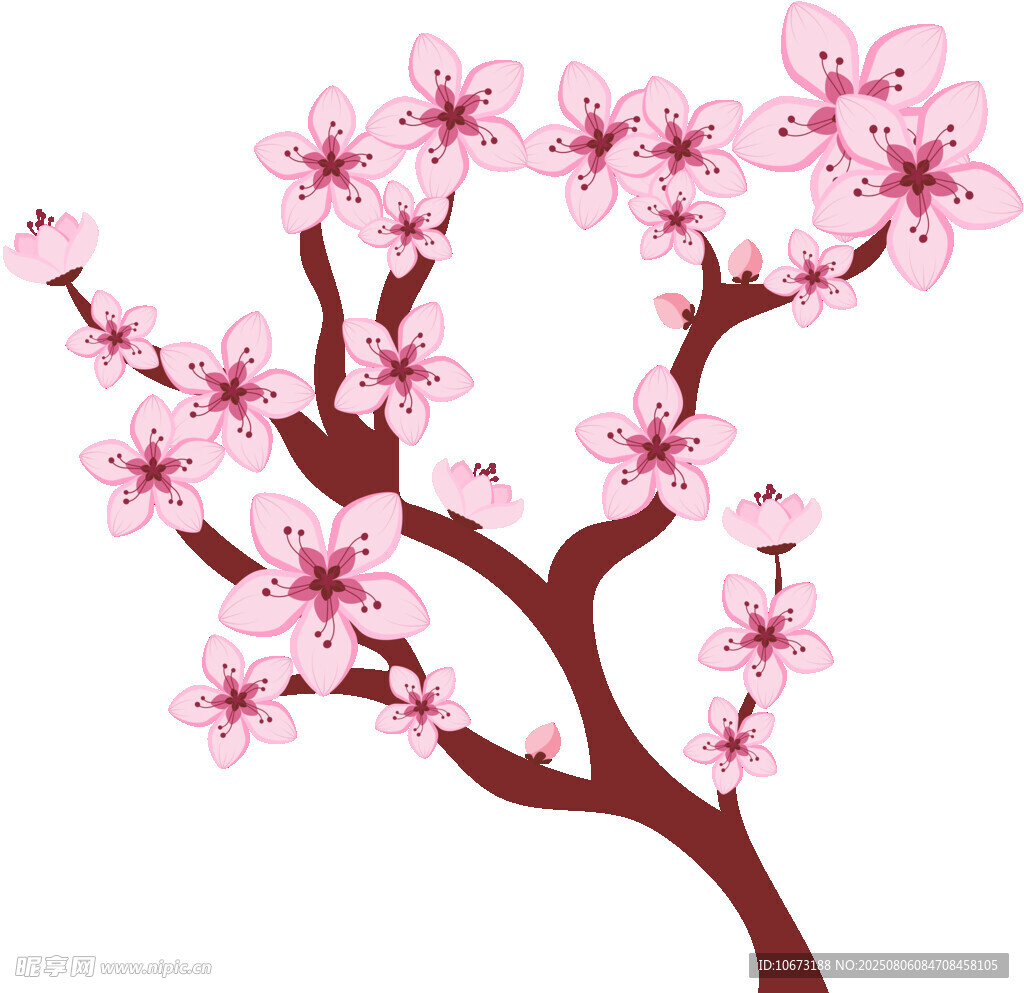 粉色烂漫樱花枝