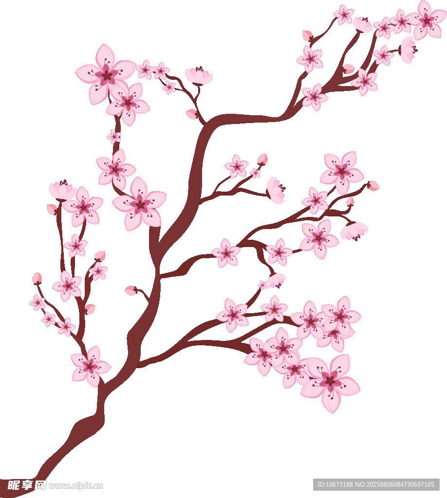粉色桃花枝