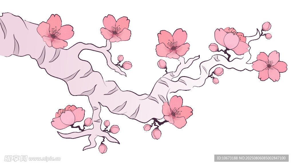 粉色樱花枝