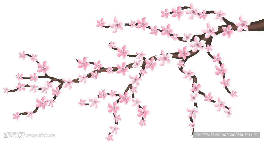 粉色桃花枝