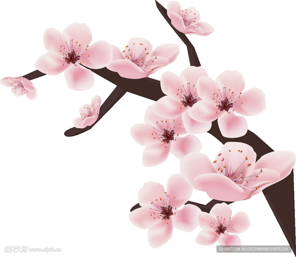粉色桃花枝