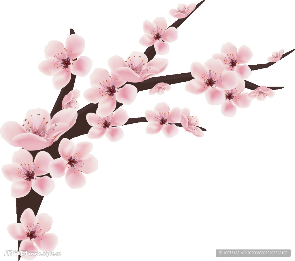粉色桃花枝