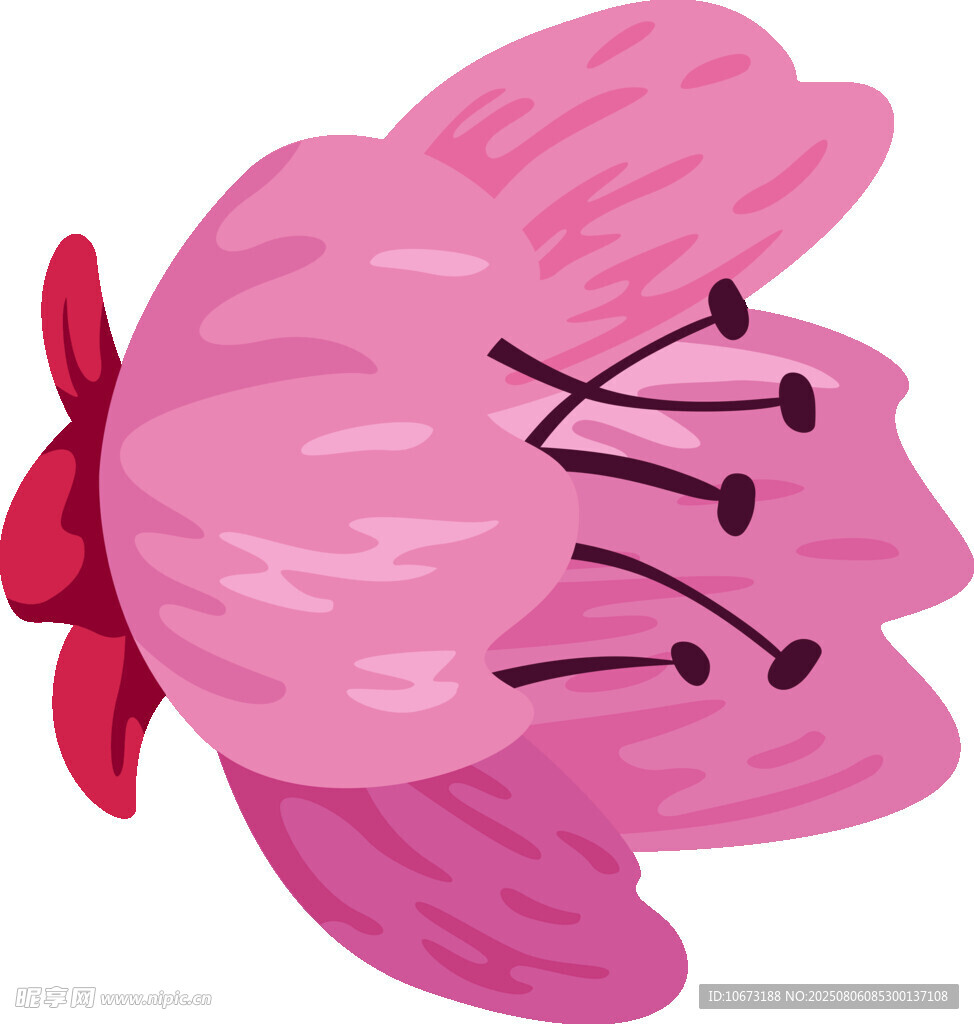 粉色绽放花朵插画