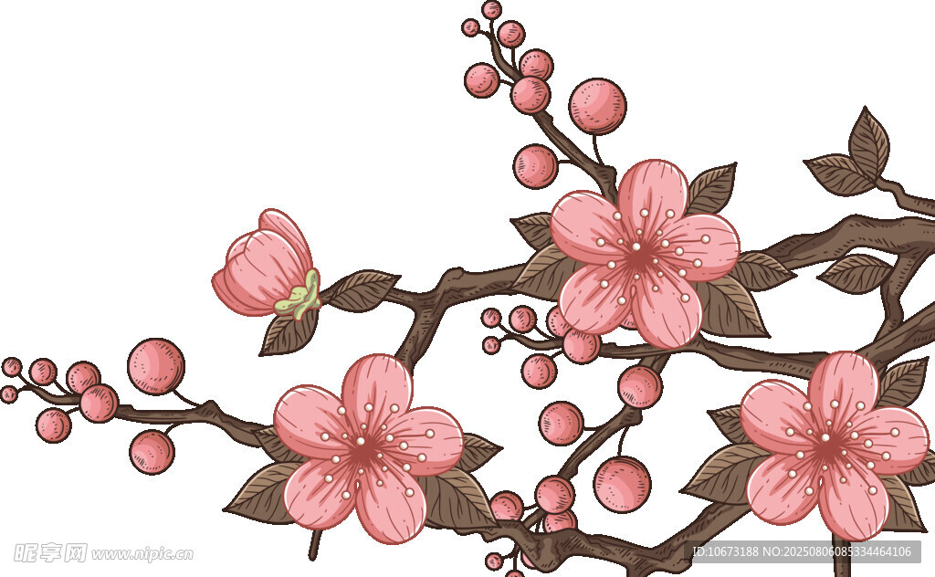 粉色桃花枝