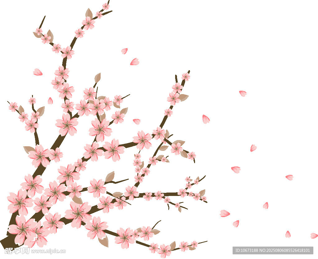 粉色桃花枝