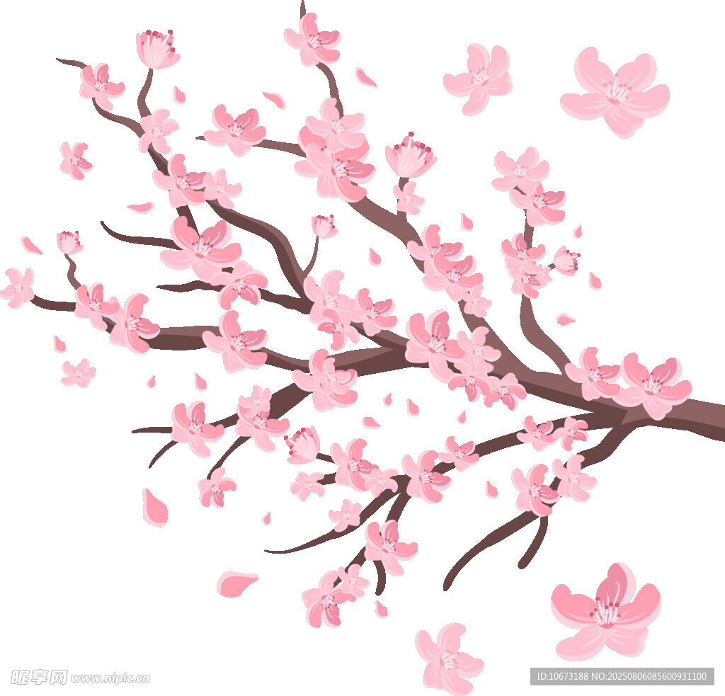粉色绽放的美丽樱花枝