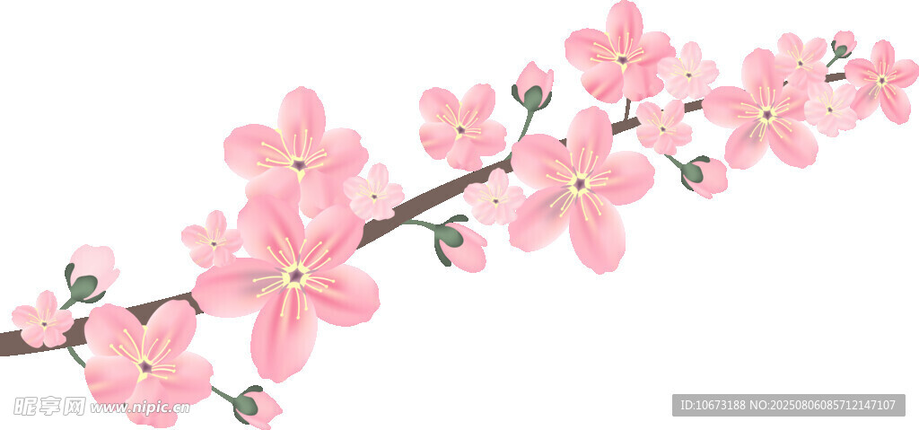 粉色樱花枝条