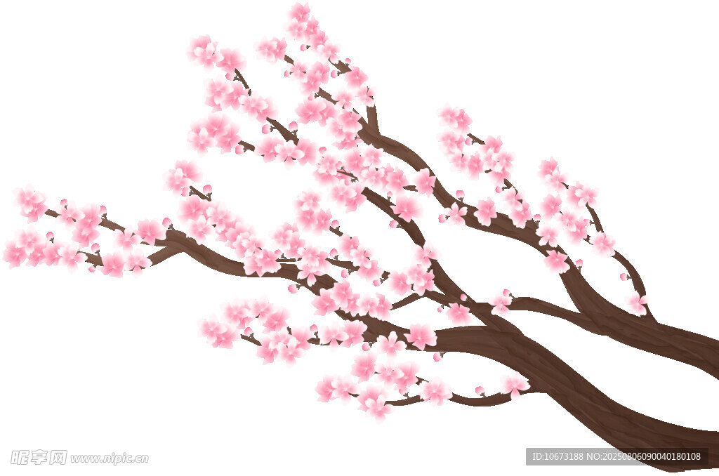 粉色桃花枝