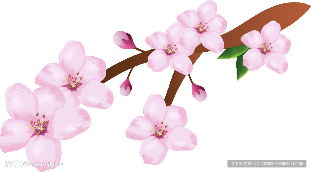 粉色桃花枝