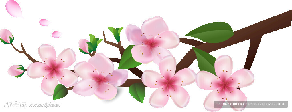 粉嫩桃花枝