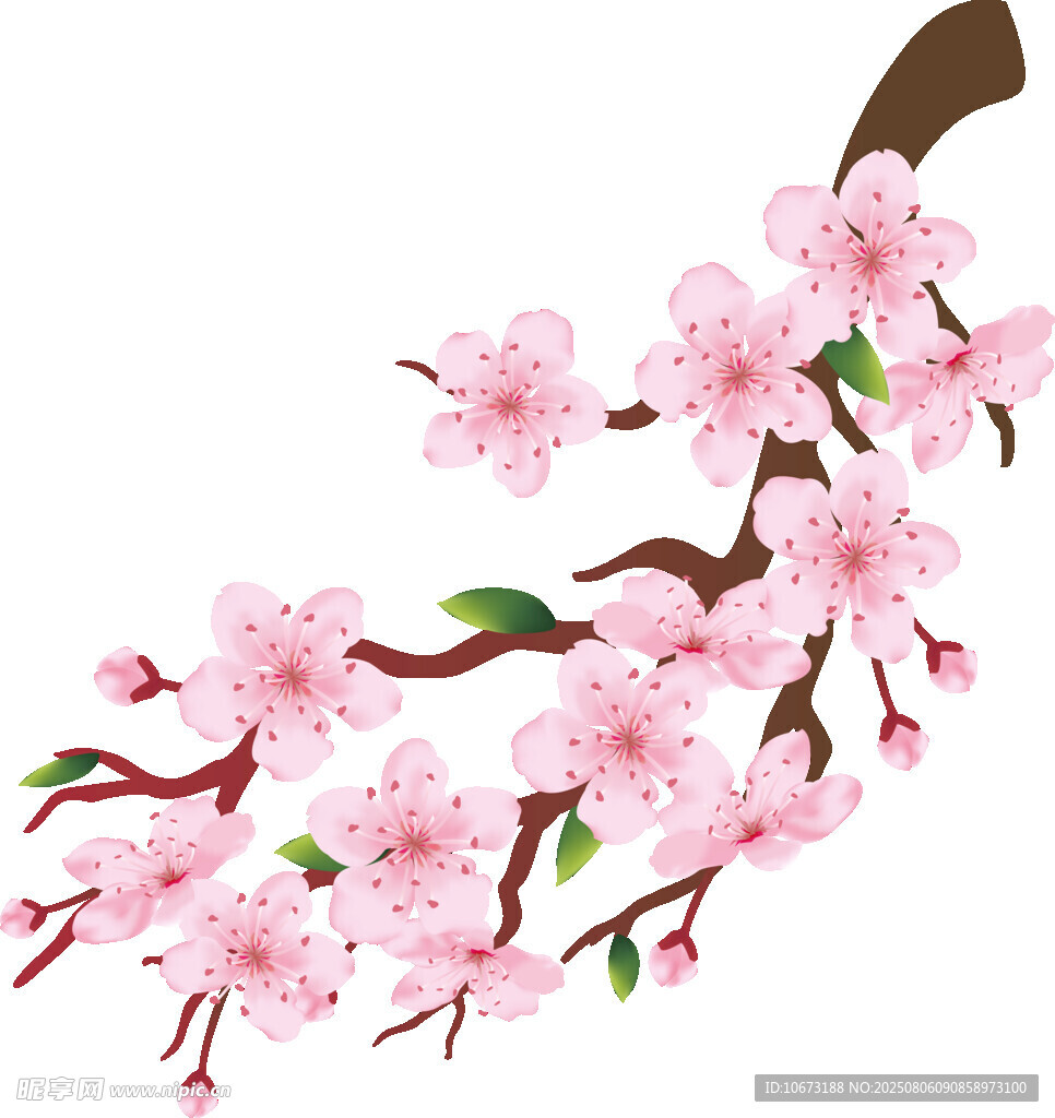 粉色桃花枝